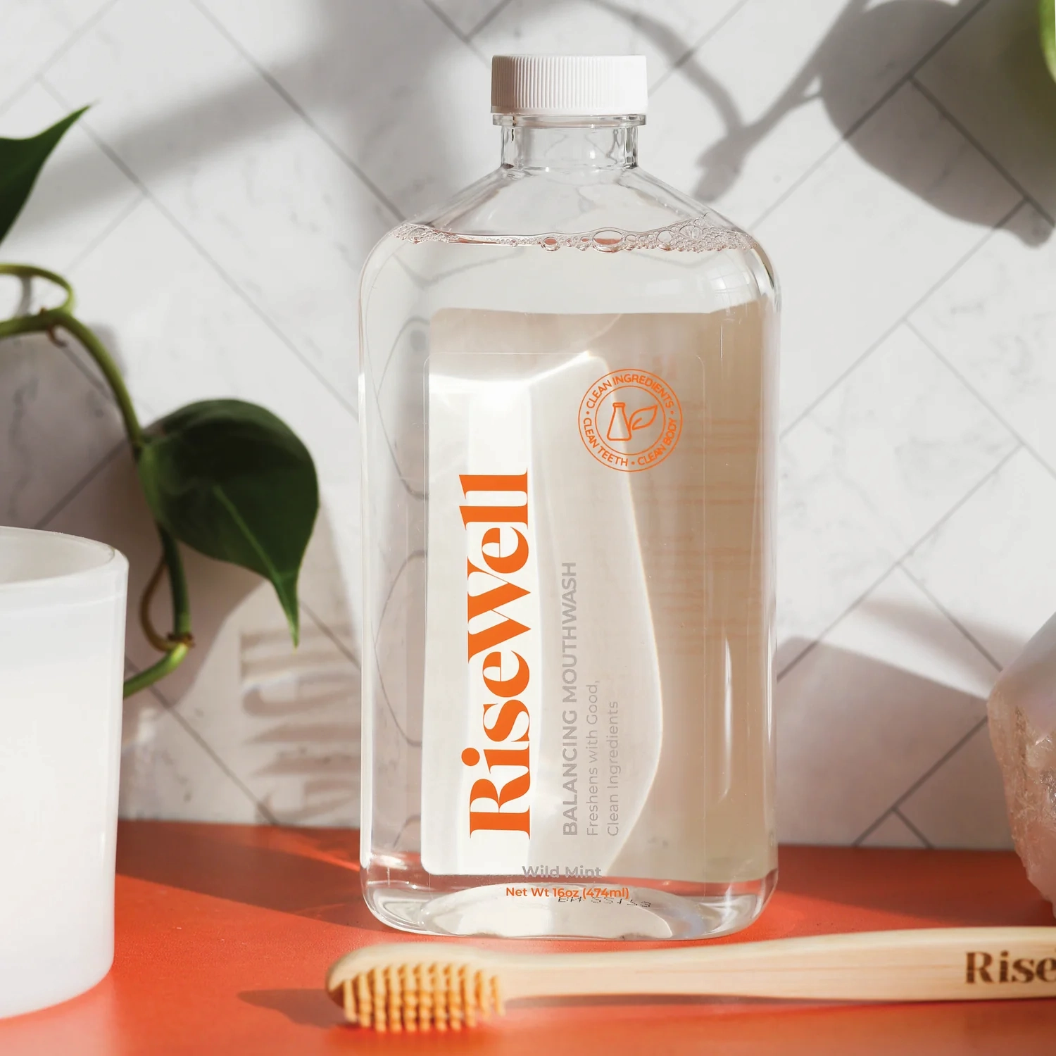 Alkalizing Mouthwash | Wild Mint