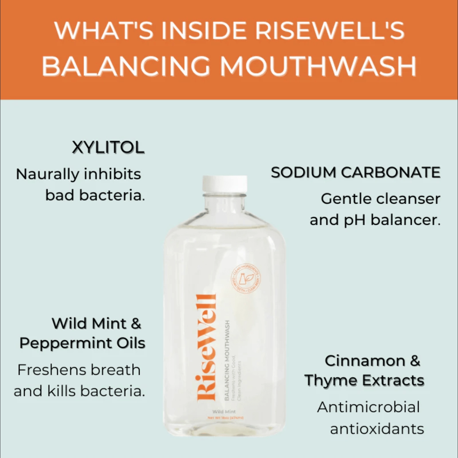 Balancing Mouthwash Wild Mint
