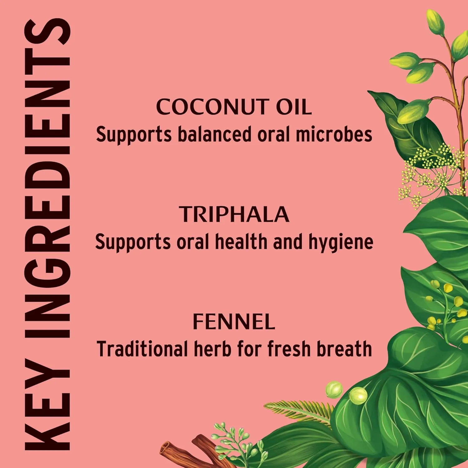 Banyan Botanicals Cinnamon Daily Swish – Organic Ayurvedic Pulling Oil with Coconut Oil – Mouthwash for Fresh Breath and Sparkling Oral Health* – 8 oz – Non GMO Sustainably Sourced Vegan