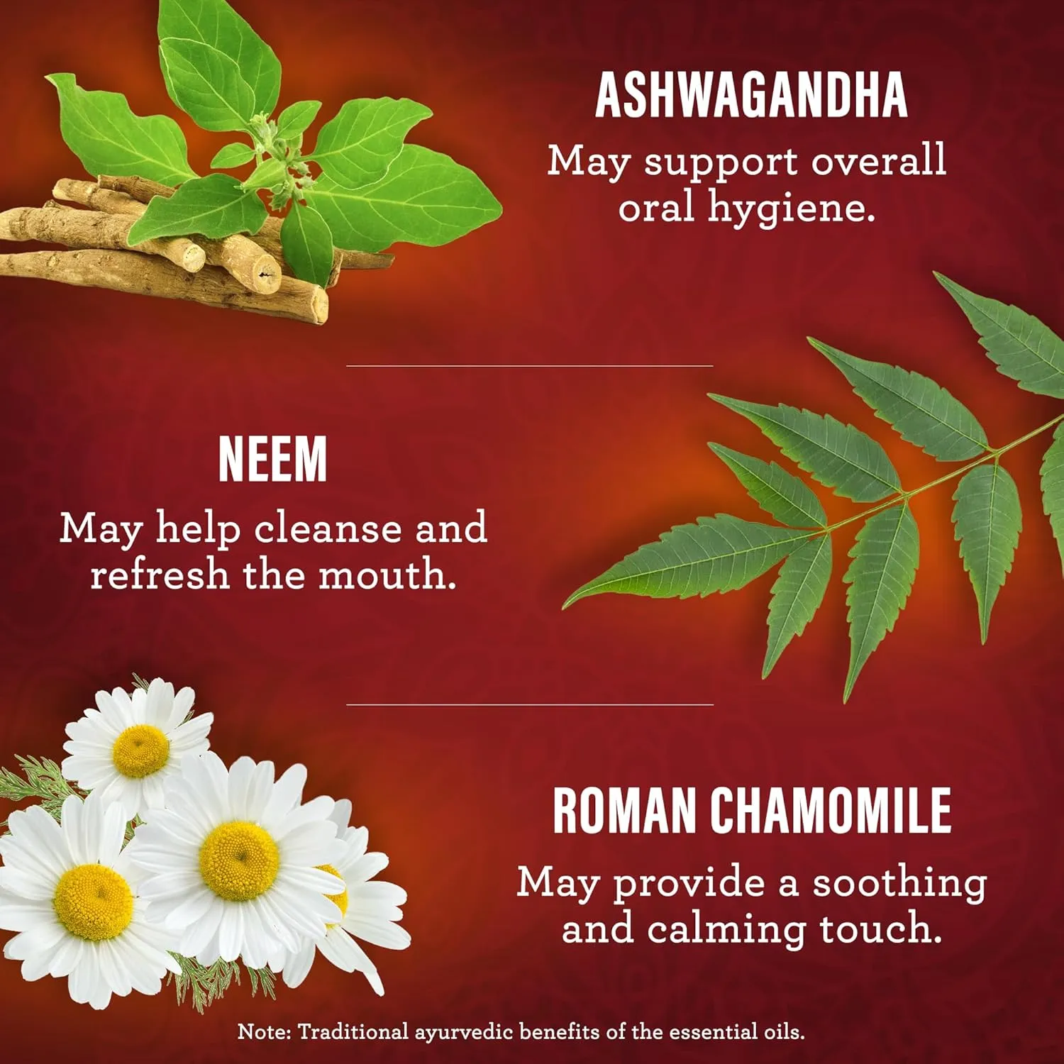 GuruNanda Ashwagandha Oil Pulling with Neem, & Pure Essential Oils - Ayurveda-Inspired Formula for Daily Oral Care - Alcohol & Fluoride Free, 3x8 Fl Oz