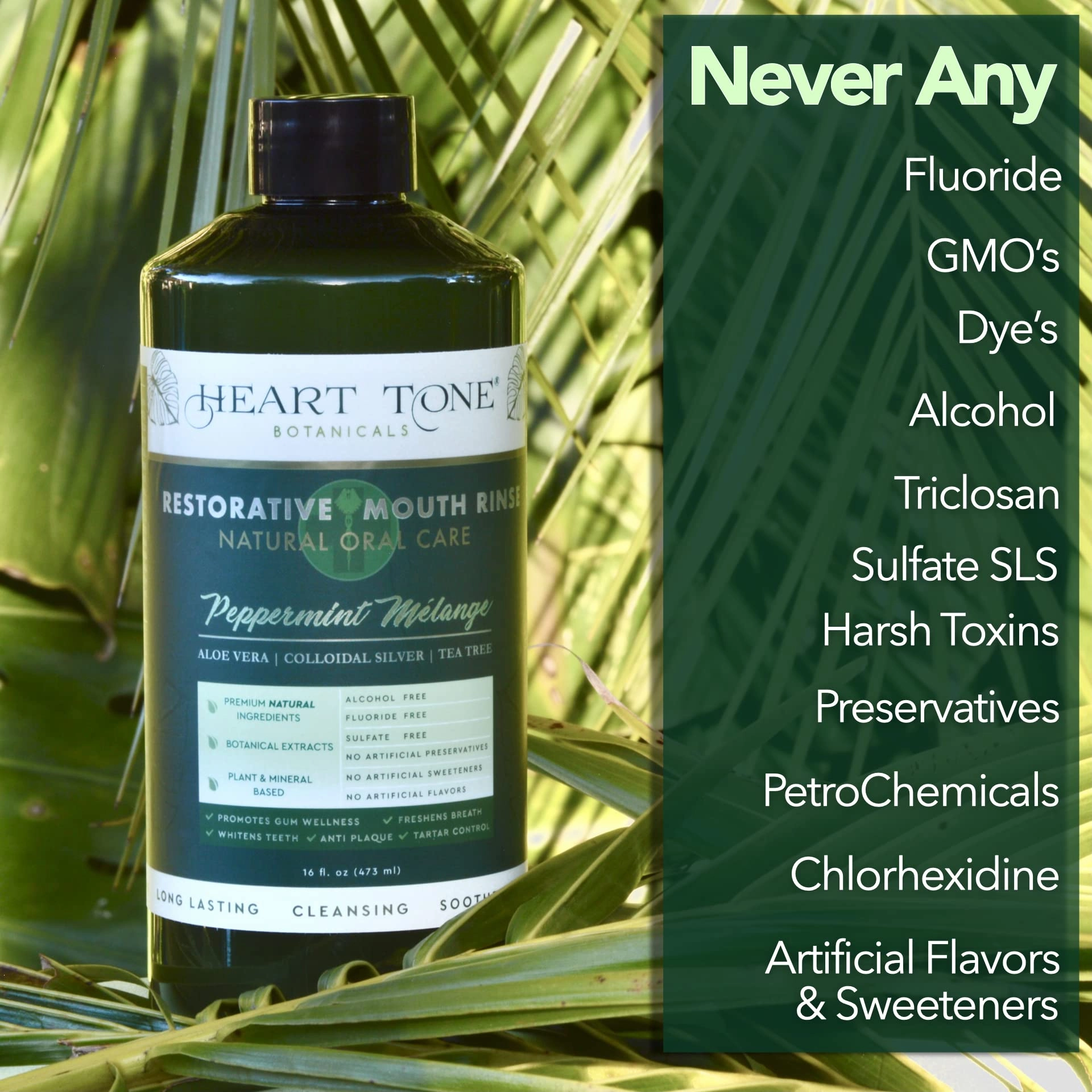 Heart Tone Botanicals Nano Silver Mouthwash | All Natural | Adult Restorative Mouth Rinse | Aloe Vera, Colloidal Silver, & Tea Tree | Complete Oral Care & Fresh Breath | Fluoride, GMO, & Alcohol Free