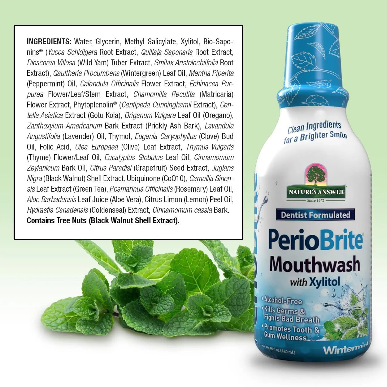 Nature's Answer Periobrite Alcohol-Free Mouthwash, Wintermint, 16 Ounce (2 Pack) | Fluoride Free | Natural Breath Freshener | Stain Remover | Natural Teeth Whitener
