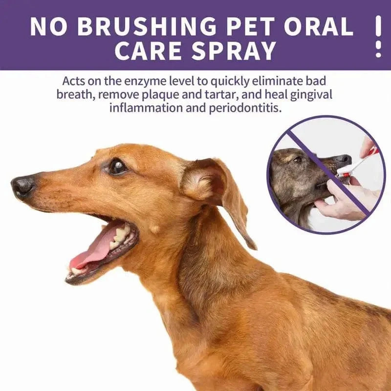 Rynx | 50ml Pet Oral Cleanse Spray Dogs Cats Clean Teeth Deodorant Prevent Tartar Remove Kittens Bad Breath Mouth Fresh Pet Supplies