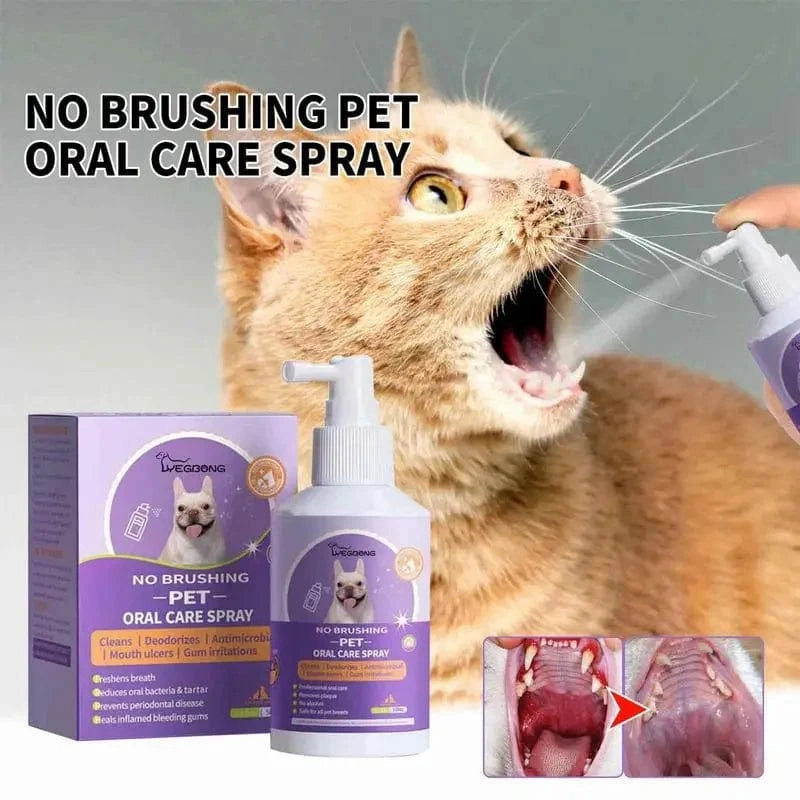 Rynx | 50ml Pet Oral Cleanse Spray Dogs Cats Clean Teeth Deodorant Prevent Tartar Remove Kittens Bad Breath Mouth Fresh Pet Supplies