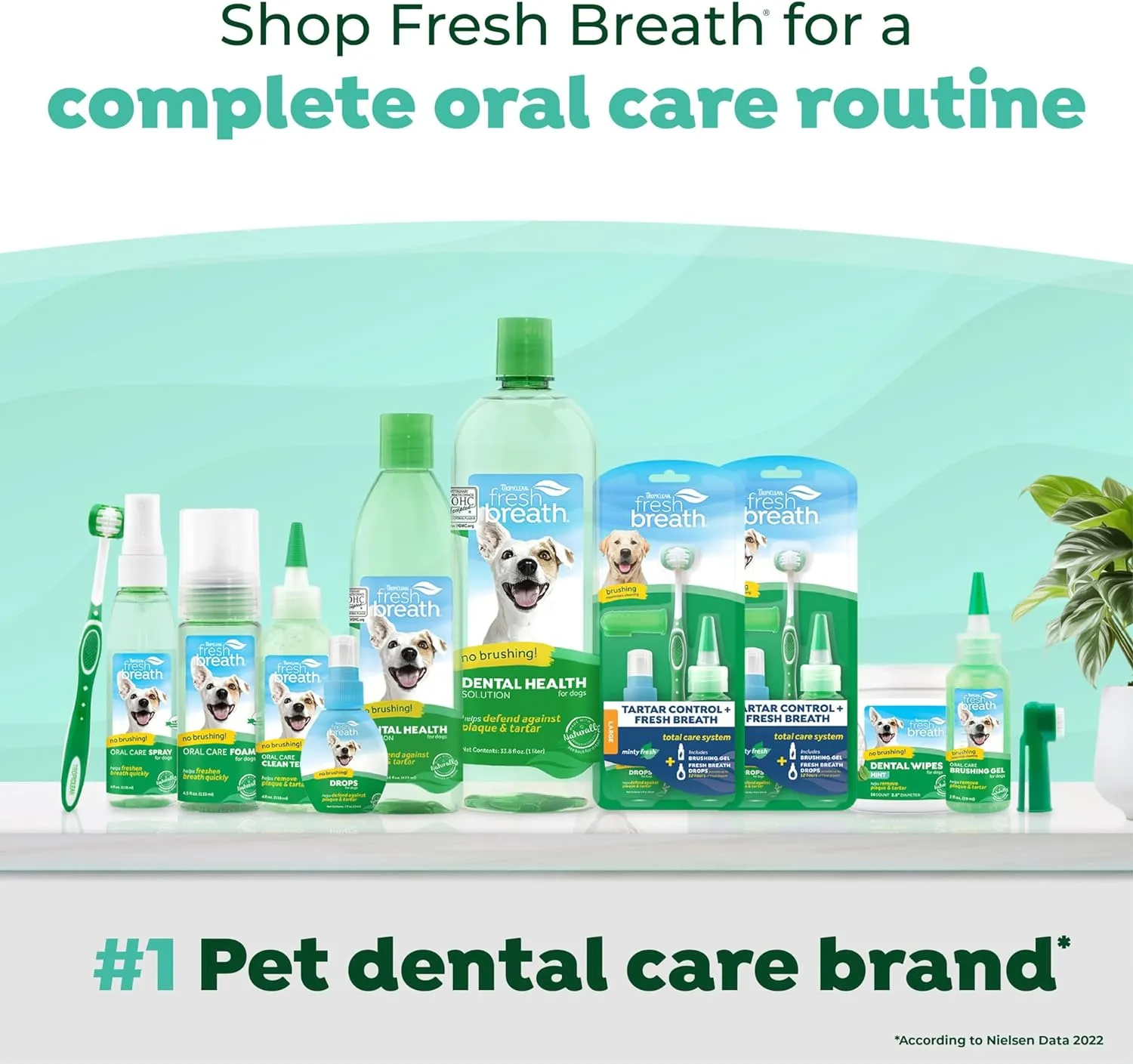 TropiClean Fresh Breath Advanced Whitening Water Additive for Dogs | Breath Freshener and Teeth Cleaning Solution | 3D MICROGUARD | 33.8oz