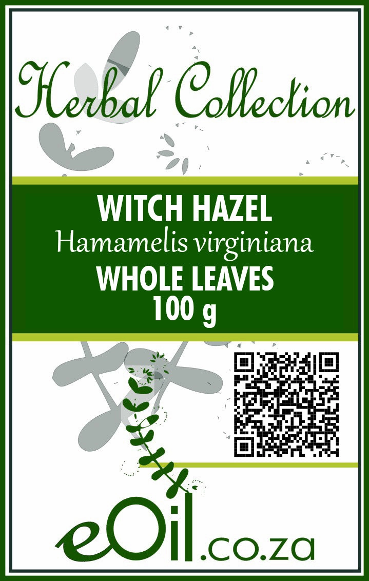 Witch Hazel Leaves Dried ( Hamamelis virginiana ) - Herbal Collection